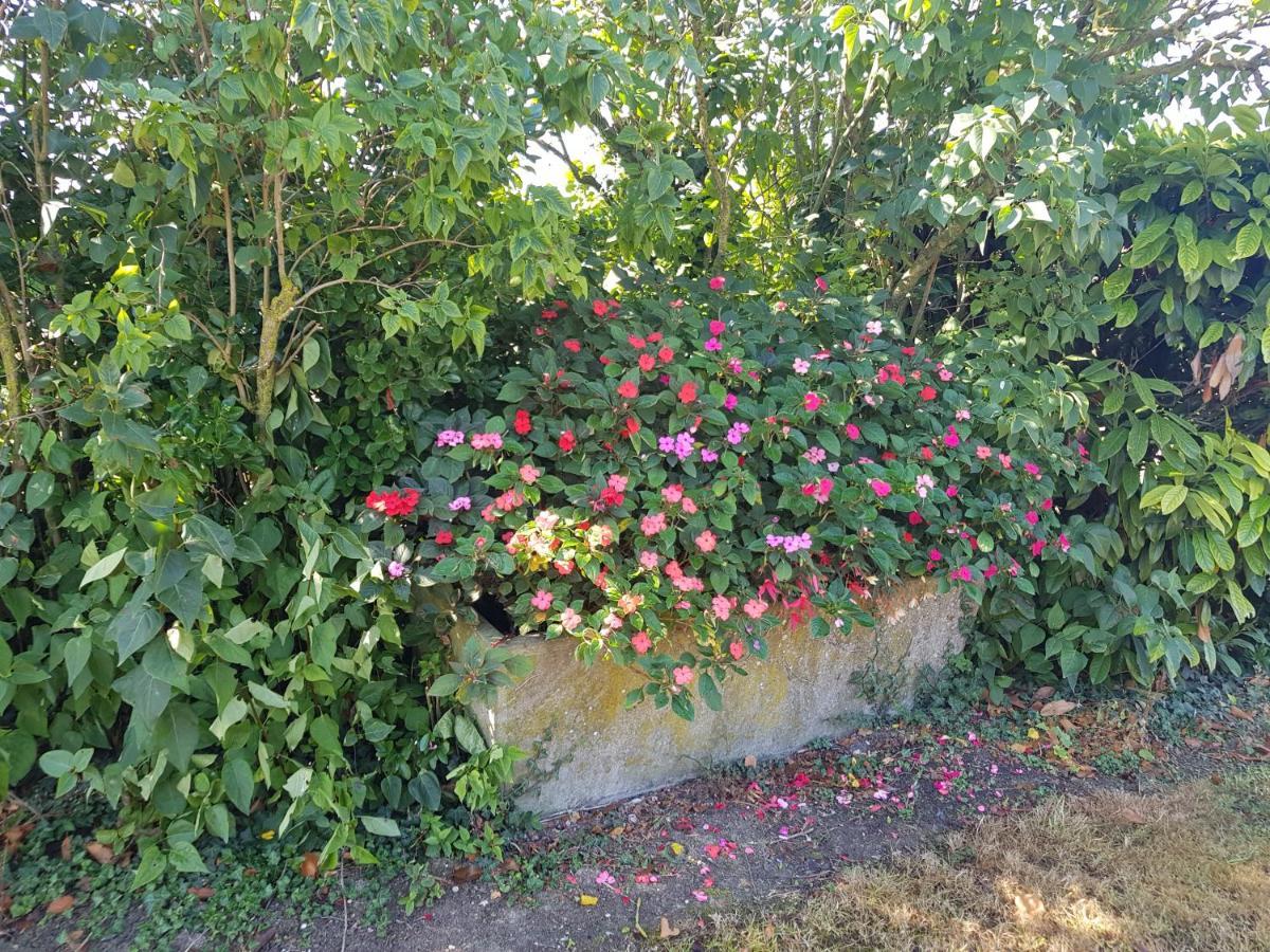 A La Campagne ,Halte ,Sejour Et Detente Moncontour  Exterior foto